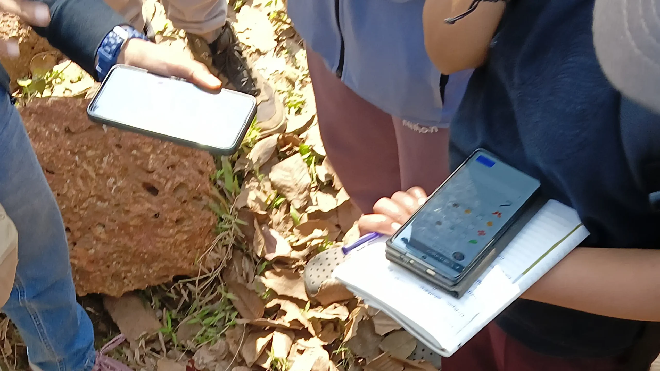 Technology makes citizen science easy