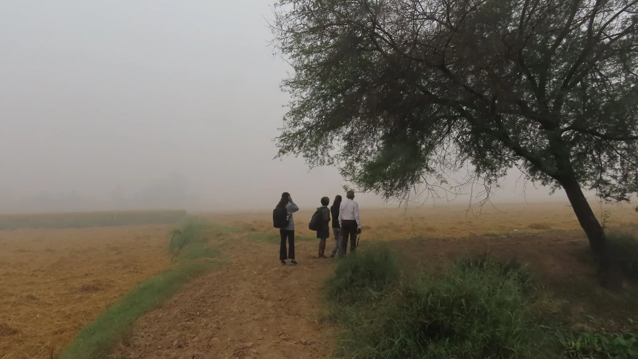 Researchers conducting bird count fieldwork in a misty farmland in Punjab.